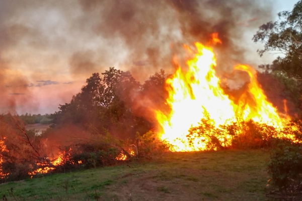 Burning to reduce density